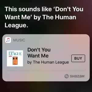 Meet your Posher, Savannah